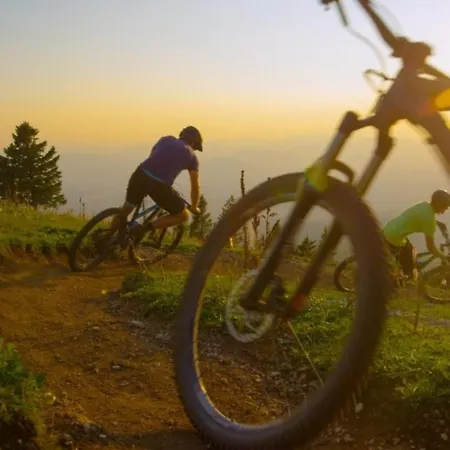 Berggruen Willingen - Naehe Skywalk Stryck