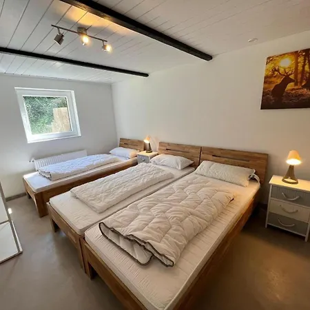 Berggruen Willingen - Naehe Skywalk Holiday home *