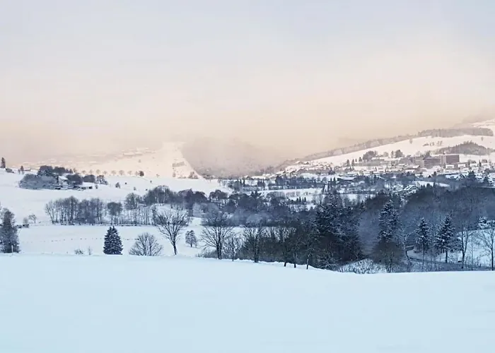 Holiday home Berggruen Willingen - Naehe Skywalk Willingen (Upland)