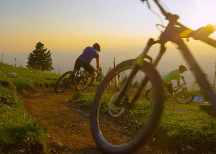 Berggruen Willingen - Naehe Skywalk Stryck