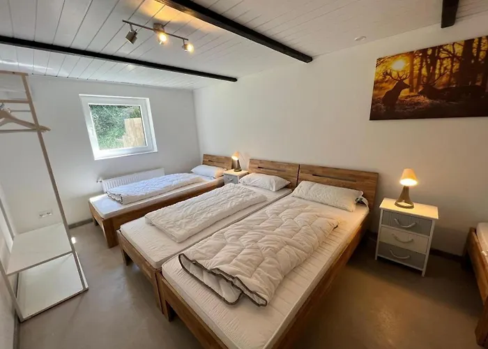 Berggruen Willingen - Naehe Skywalk Holiday home *